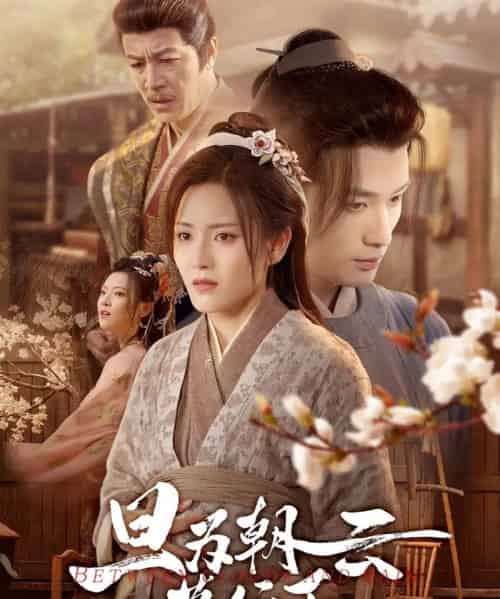 旦为朝云暮行雨（64集）宋暖＆郑念-海之城短剧项目