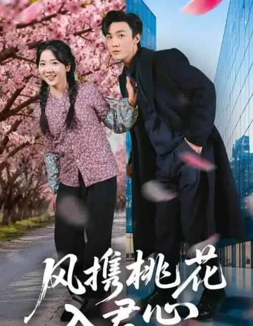 风携桃花入君心（80集全）李海蒂＆清河-海之城短剧项目