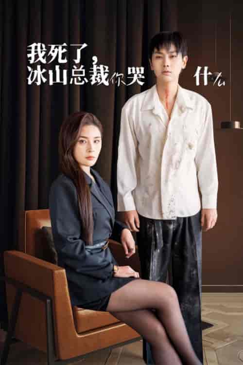 我死了冰山总裁你哭什么（30集全） - 海之城短剧