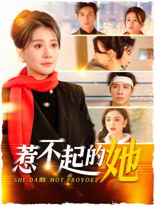 惹不起的她（106集）屈婉琼 - 海之城短剧