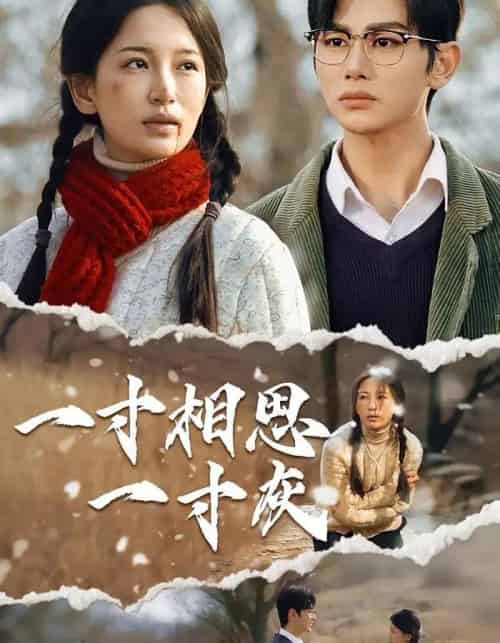 一寸相思一寸灰（43集）-海之城短剧项目
