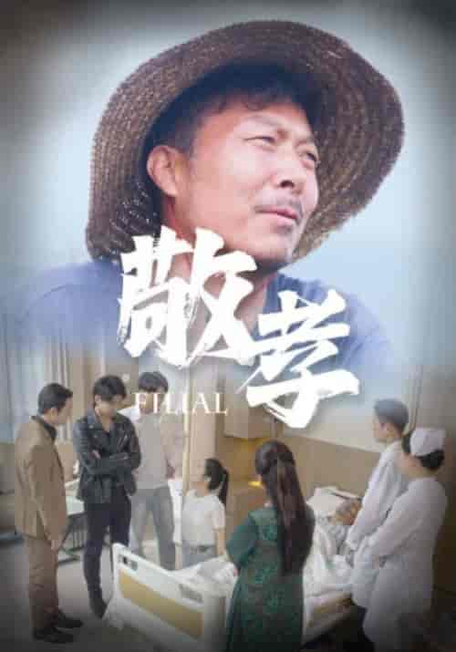 敬孝（61集）王燕 - 海之城短剧