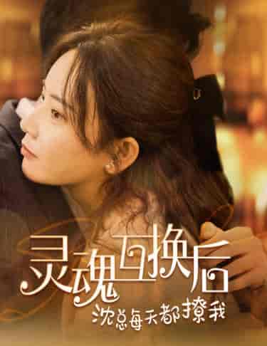 灵魂互换后沈总每天都撩我（80集） - 海之城短剧
