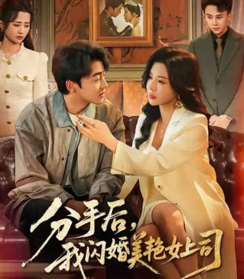 分手后，我闪婚美艳女上司（62集全）涂蕊＆王鑫源-海之城短剧项目
