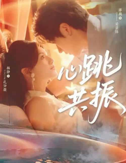 心跳共振（60集全）邵巍＆林静-海之城短剧项目