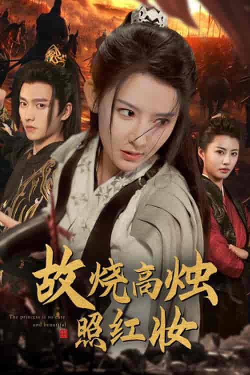 故烧高烛照红妆（62集全）秦天爱 - 海之城短剧
