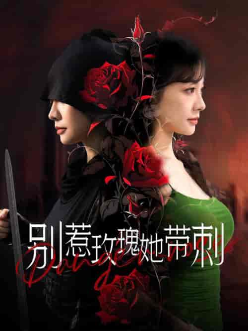 别惹玫瑰她带刺（100集全） - 海之城短剧