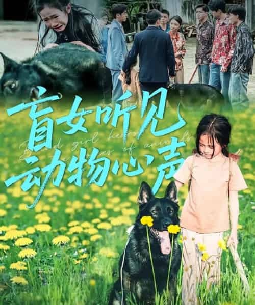 盲女听见动物心声（61集） - 海之城短剧