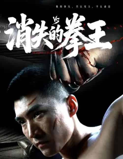 消失的拳王（72集）-海之城短剧项目