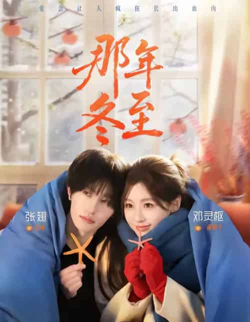 那年冬至（81集全）张翅＆邓灵枢-海之城短剧项目