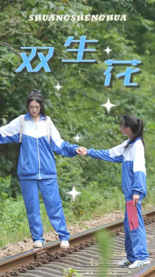 双生花（36集） - 海之城短剧
