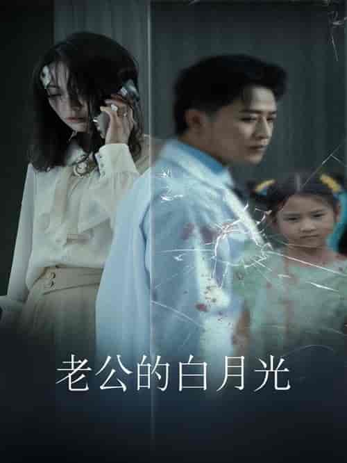 老公的白月光（30集） - 海之城短剧