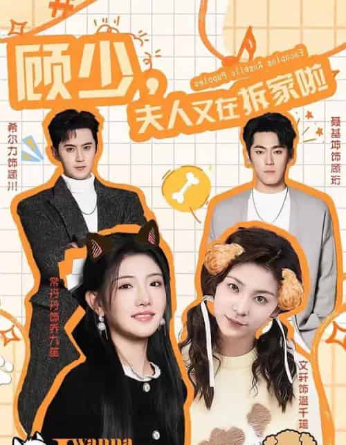 顾少，夫人又在拆家啦（78集全）希尔力＆常丹丹-海之城短剧项目