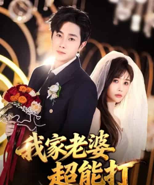 我家老婆超能打（60集全）王新颖＆杨皓竣-海之城短剧项目