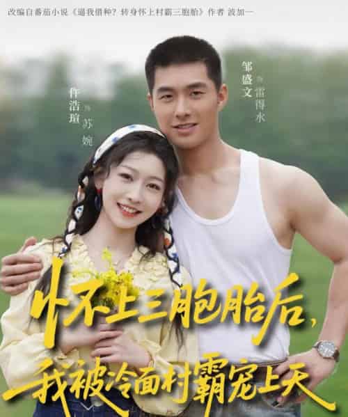 怀上三胞胎后，我被冷面村霸宠上天（72集全）邹盛文＆仵浩瑄-海之城短剧项目