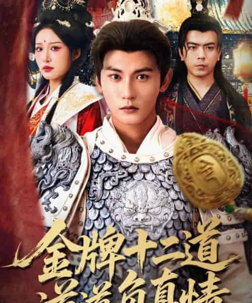 金牌十二道道道负真情（70集全）宋楠＆孙虎城-海之城短剧项目