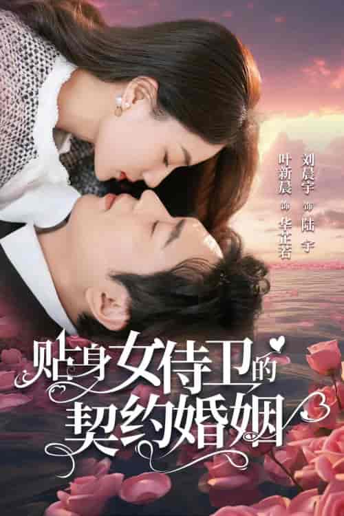 贴身女侍卫的契约婚姻 贴身女侍卫的契约婚姻