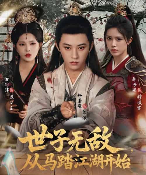 世子无敌，从马踏江湖开始（80集全）孙景琛＆万羽沫-海之城短剧项目