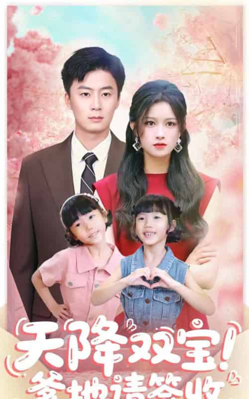 天降双宝爹地请签收（84集全）戴金麟＆赵慧-海之城短剧项目