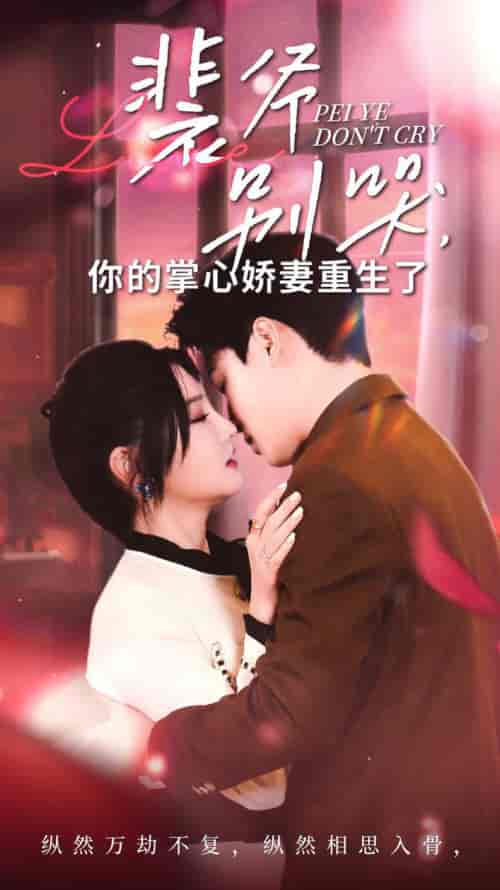 裴爷别哭你的掌心娇妻重生了（70集全）常丹丹 - 海之城短剧