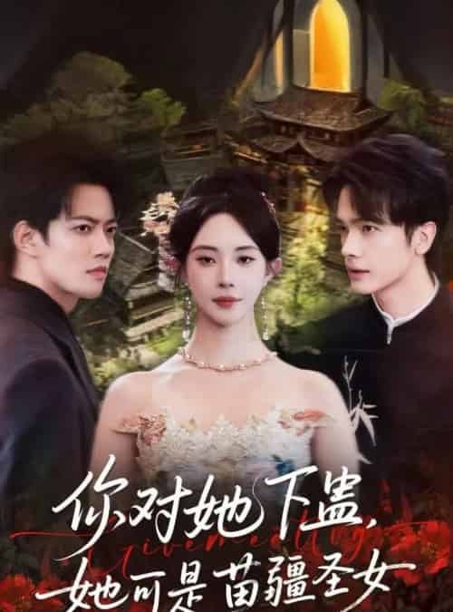 你对她下蛊？她可是苗疆圣女（62集全）时巍＆黎晟萱-海之城短剧项目