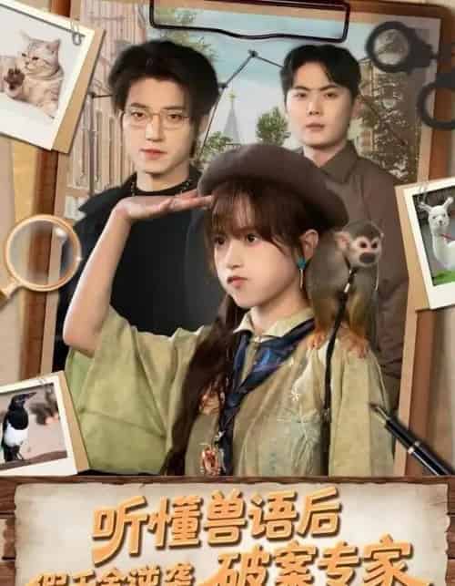 听懂兽语后，假千金逆袭破案专家（80集全）文晴＆张宇轩-海之城短剧项目