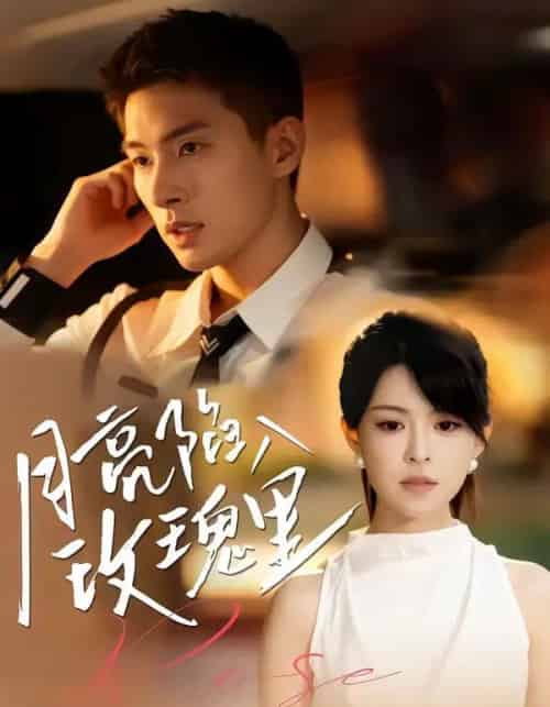 月亮陷入玫瑰里（60集全）邹盛文＆黄子珺-海之城短剧项目