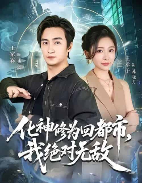 化神修为回都市，我绝对无敌（69集全）王家霖＆王幸子-海之城短剧项目