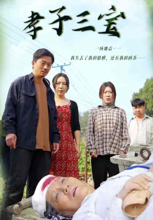 孝子三宝（50集全） - 海之城短剧