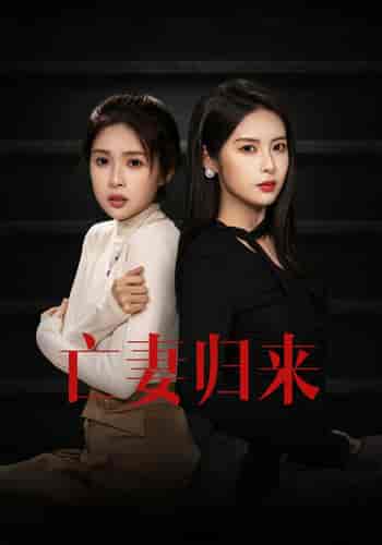 亡妻归来（85集） - 海之城短剧