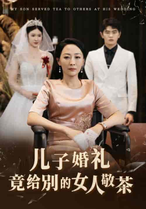 儿子婚礼竟给别的女人敬茶（36集全）陆向东＆徐雯玉 - 海之城短剧