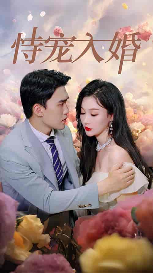 恃宠入婚（89集） - 海之城短剧