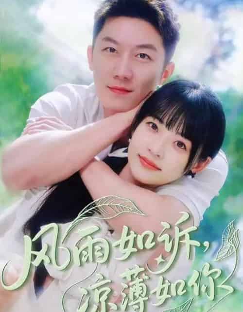 风雨如诉凉薄如你 风雨如诉凉薄如你