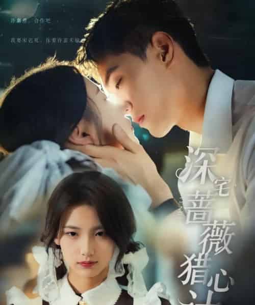 深宅蔷薇猎心计（66集）万林洲＆王昕瑶-海之城短剧项目