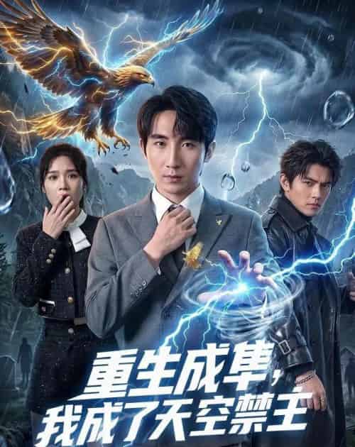 重生成隼，我成了天空禁主（68集全）刘飞＆思雨-海之城短剧项目