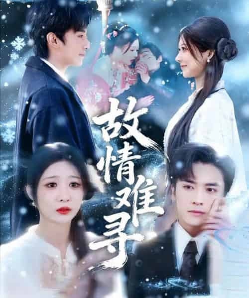 故情难寻（58集全）王博＆孙妍恩-海之城短剧项目