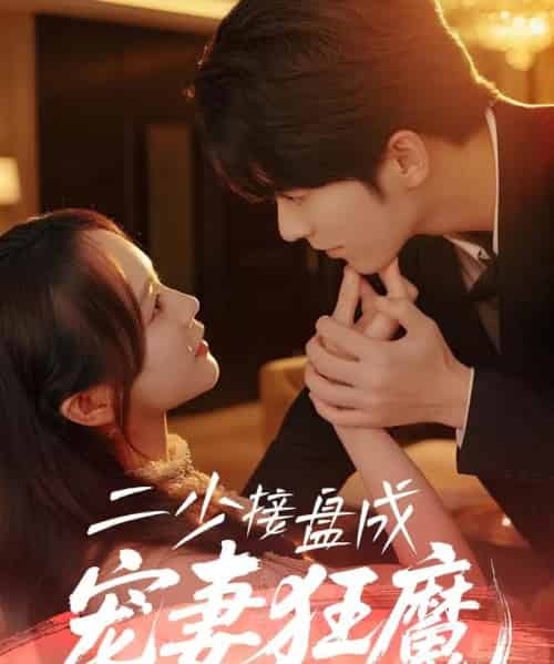 二少接盘成宠妻狂魔 二少接盘成宠妻狂魔