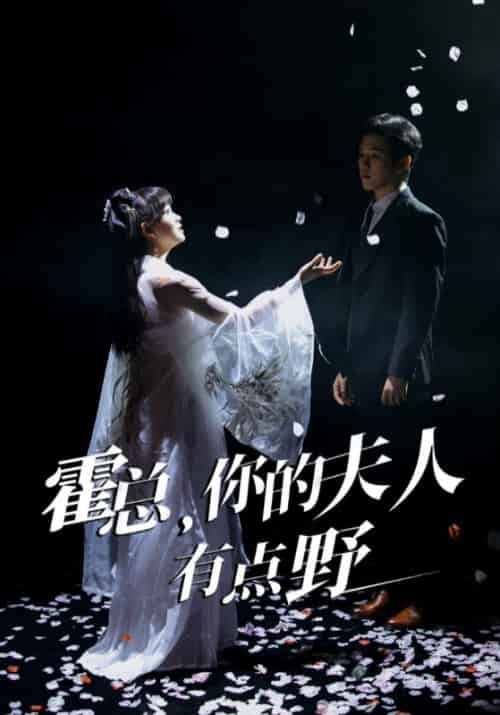 霍总,你的夫人有点野 霍总,你的夫人有点野