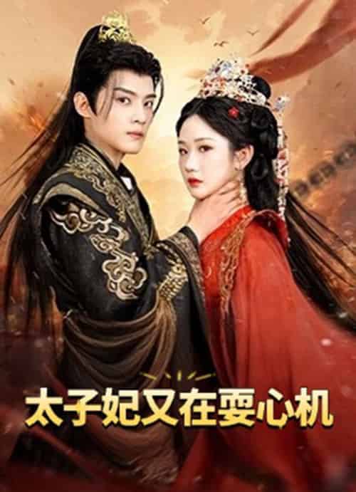 太子妃又在耍心机&人家才不是坏女人 太子妃又在耍心机&人家才不是坏女人