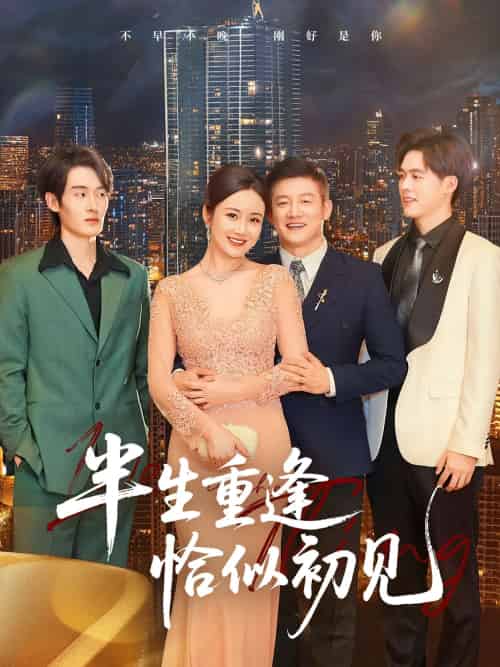 半生重逢恰似初见（90集）滕林 - 海之城短剧