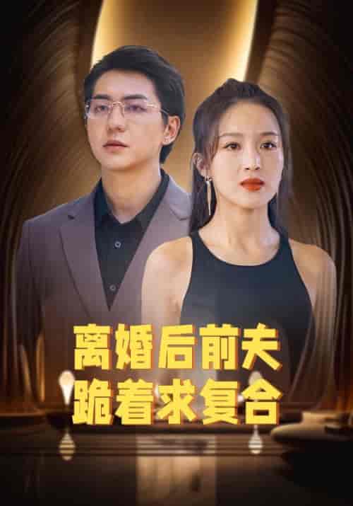离婚后前夫跪着求复合（80集全）顾衍＆沈离 - 海之城短剧
