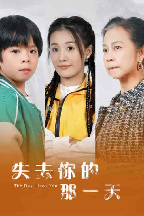 失去你的那一天（30集全） - 海之城短剧