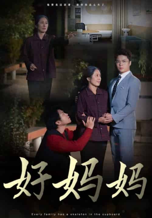 好妈妈（30集全）陈永强＆白素琴 - 海之城短剧
