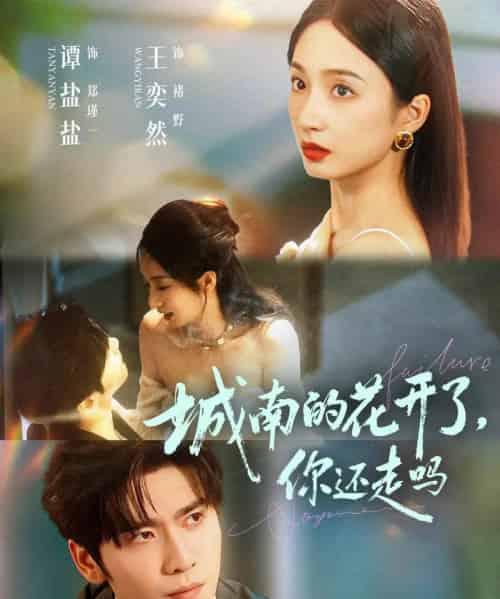 城南的花开了，你还走吗（84集全）王奕然＆谭盐盐-海之城短剧项目
