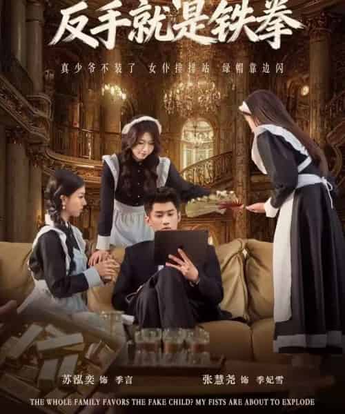 全家逼我当忍者，反手就是铁拳（80集全）苏泓奕＆张慧尧-海之城短剧项目