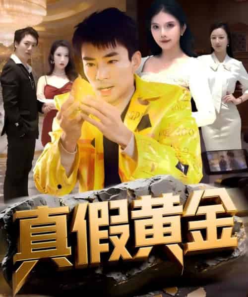 真假黄金（62集全）张瀚文（男）＆边心-海之城短剧项目