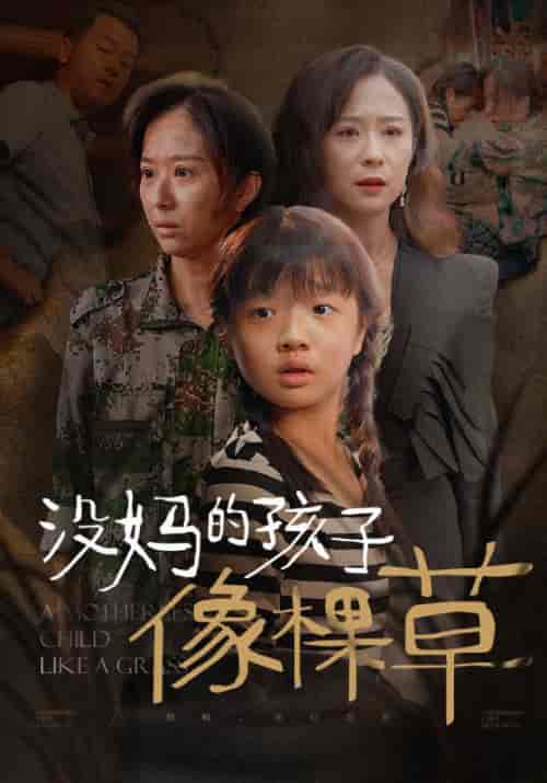 没妈的孩子像棵草（50集全）张大强＆田素红 - 海之城短剧
