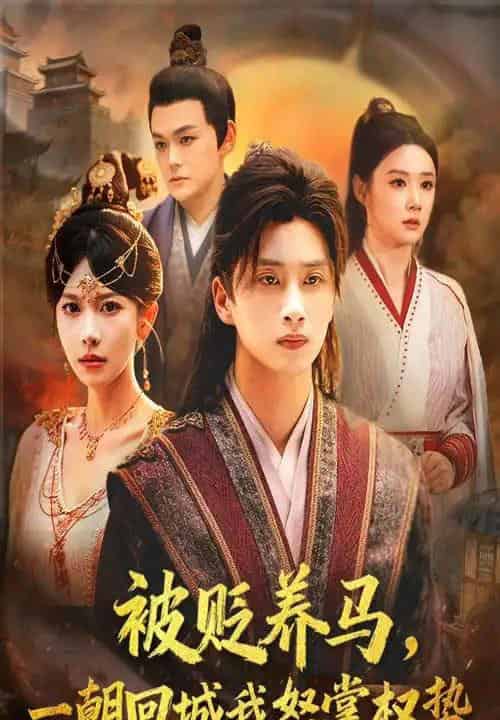 被贬养马一朝回城我怒掌权势（67集全）陈雷雷＆张红瑜-海之城短剧项目