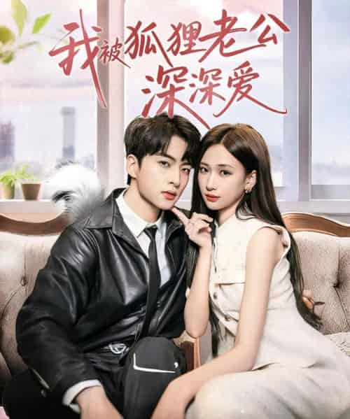 我被狐狸老公深深爱（80集）张予湉＆张昊旸 - 海之城短剧