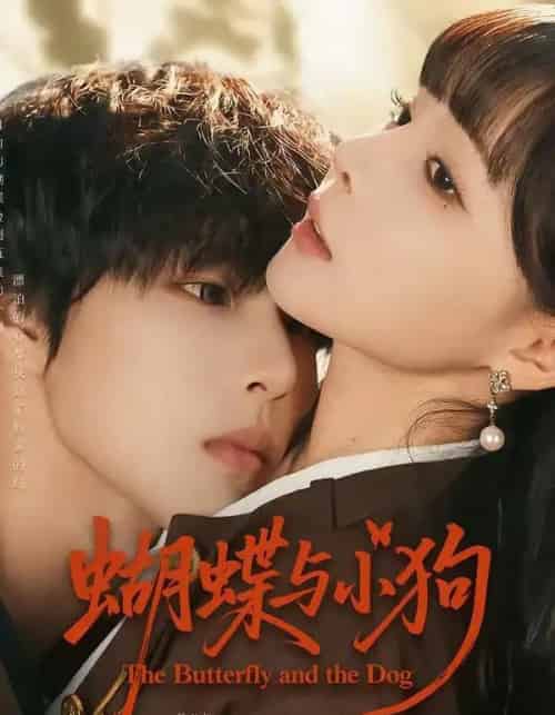 蝴蝶与小狗（70集全）马义炎＆唐七七-海之城短剧项目